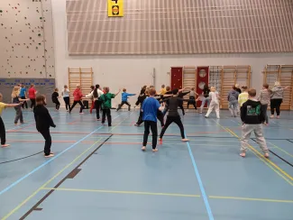 Leppäkertun koulun tanssi