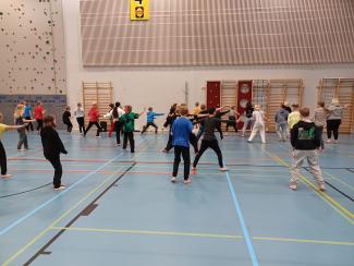 Leppäkertun koulun tanssi