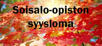 Soisalo-opiston syysloma, taustalla aurinko paistaa syksyisen vaahteran läpi